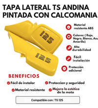 JUEGO TAPA LATERAL TS ANDINA PINTADA CON CALCOMANIA