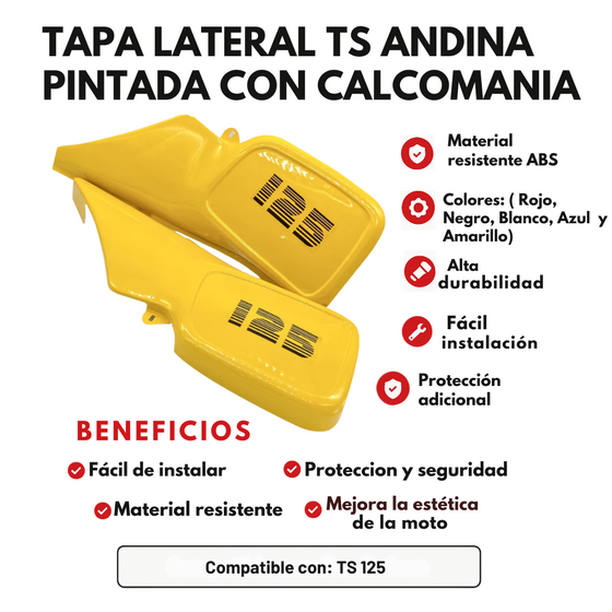 JUEGO TAPA LATERAL TS ANDINA PINTADA CON CALCOMANIA