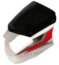 CARENAJE PLATINO 100 125 CON VISOR Y CALCOMANIAS