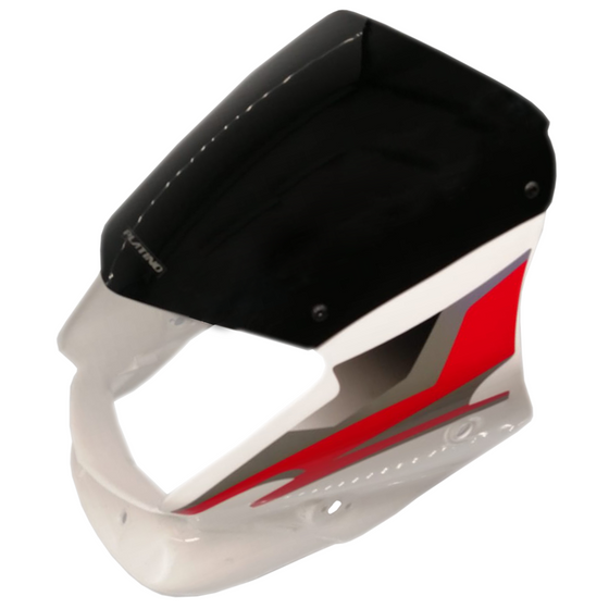 CARENAJE PLATINO 100 125 CON VISOR Y CALCOMANIAS