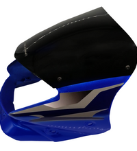 CARENAJE PLATINO 100 125 CON VISOR Y CALCOMANIAS