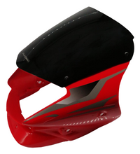 CARENAJE PLATINO 100 125 CON VISOR Y CALCOMANIAS